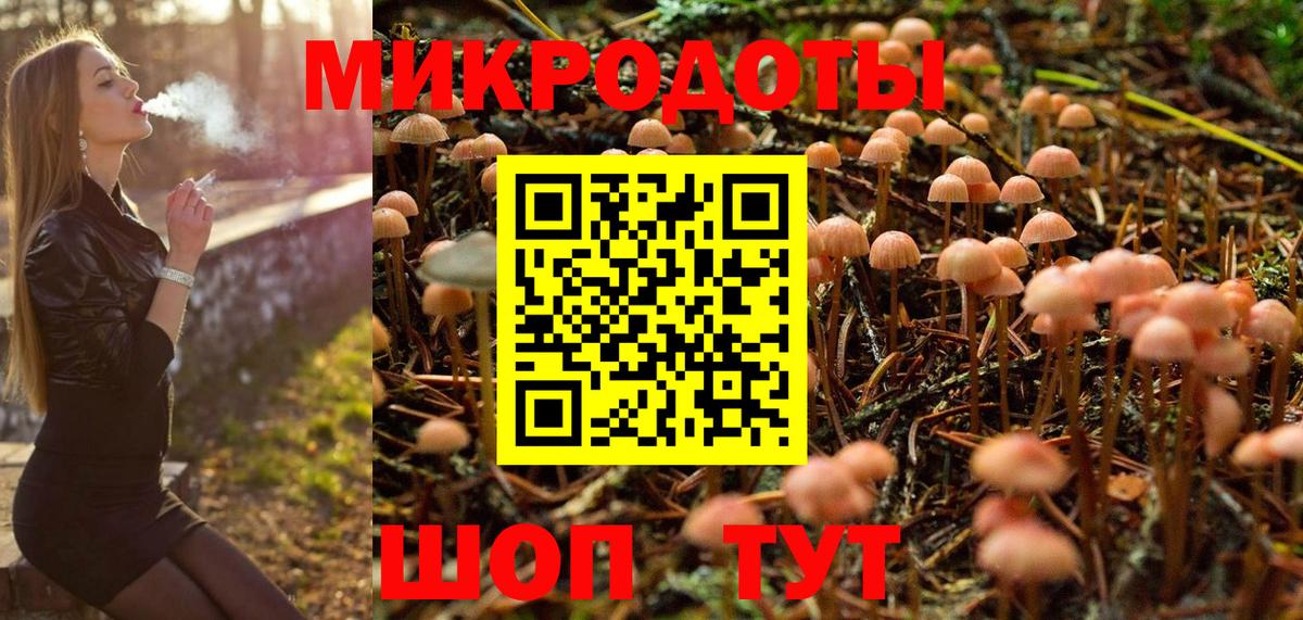 Псилоцибиновые грибы Psilocybe Сочи