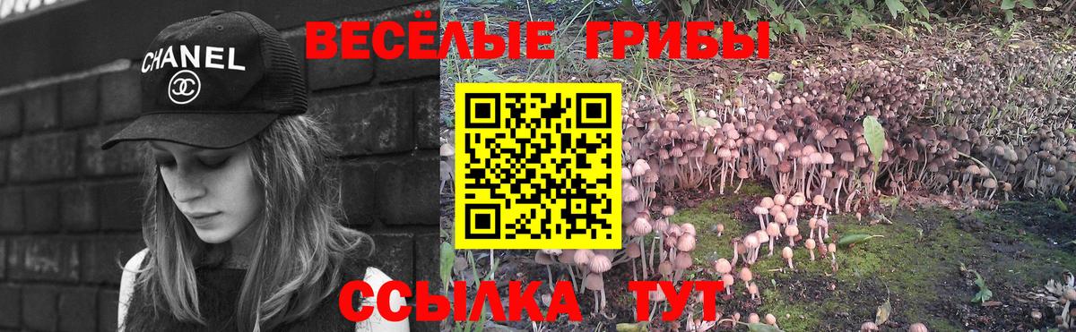 Сочи  Галлюциногенные грибы ЛСД  Вход с VPN 